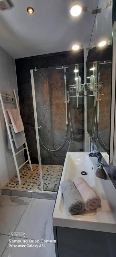 Grand Loft De 60m2 Tres Lumineux Tres Belle Vue Sur Apartment